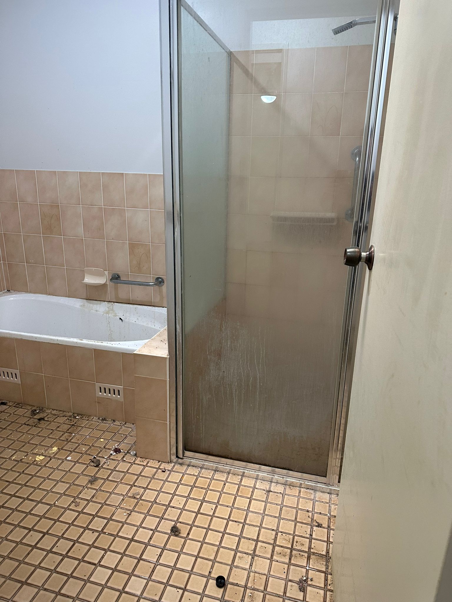 Bathroom Reset - Image 6